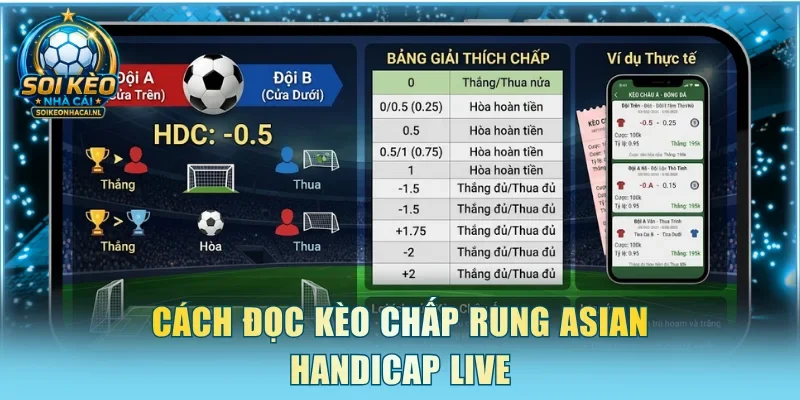 Cách đọc kèo chấp rung Asian Handicap live