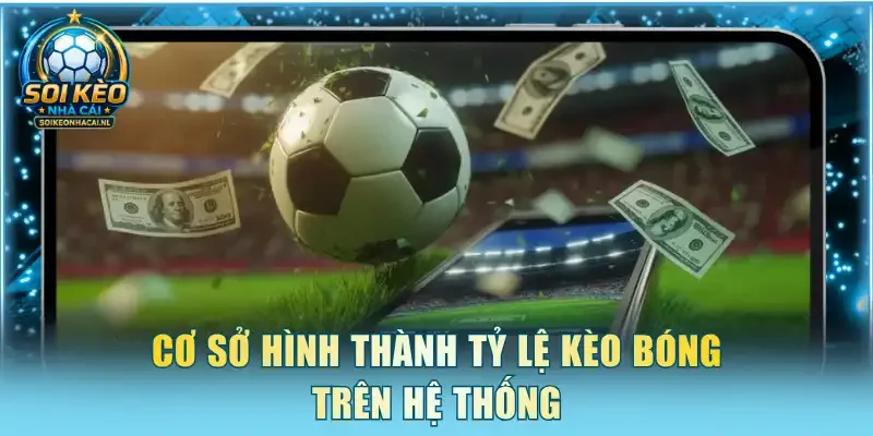 Cơ sở hình thành tỷ lệ kèo bóng trên hệ thống