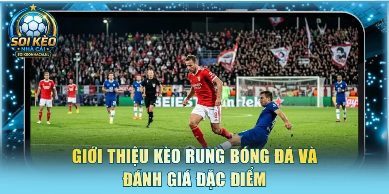 Giới thiệu kèo rung bóng đá và đánh giá đặc điểm