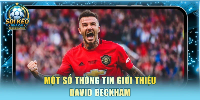 Một số thông tin giới thiệu David Beckham