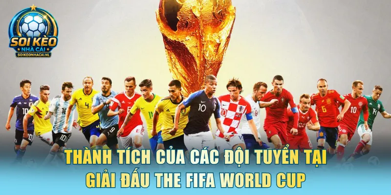 Thành tích của các đội tuyển tại giải đấu the Fifa World Cup