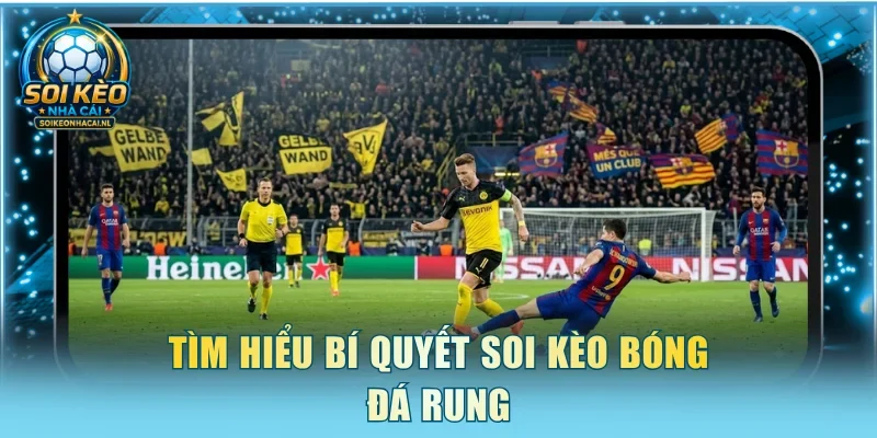 Tìm hiểu bí quyết soi kèo bóng đá rung
