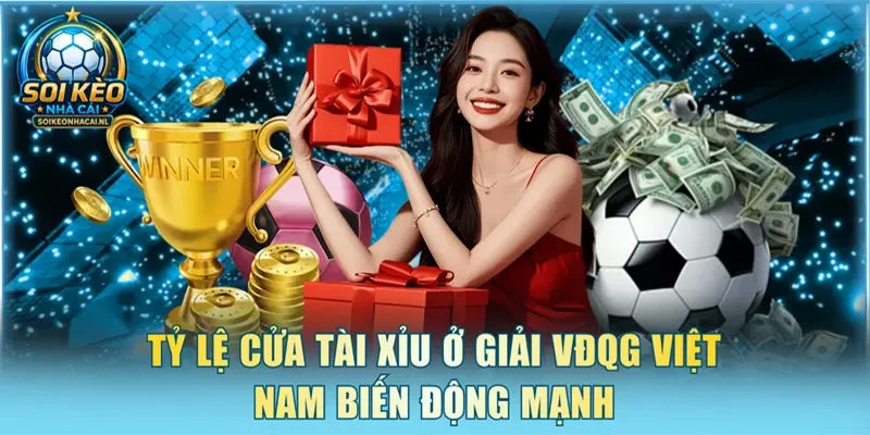 Tỷ lệ cửa Tài Xỉu ở giải VĐQG Việt Nam biến động mạnh